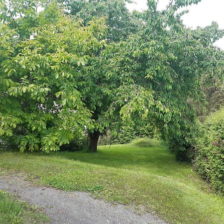 Ferienwohnung-Vivienne Hemfurth-Edersee Dış mekan fotoğraf